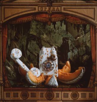 A Distant Voice Finally Broke the Spell