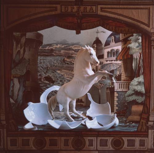 Out of Which Sprang a Great Stallion