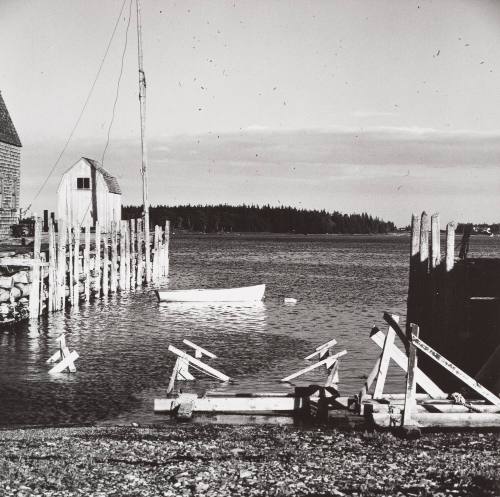 (Dinghy in Harbor, Cranberry Island, Maine)