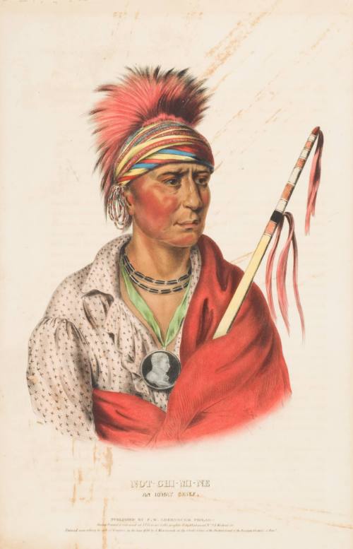 Notchimine, an Ioway Chief