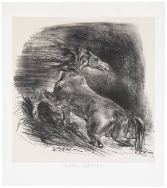Wild Horse (Cheval Sauvage)