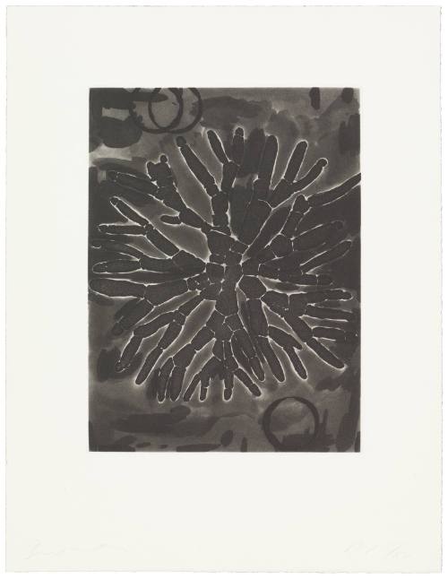 Field Notes, 19