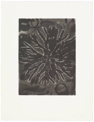 Field Notes, 19