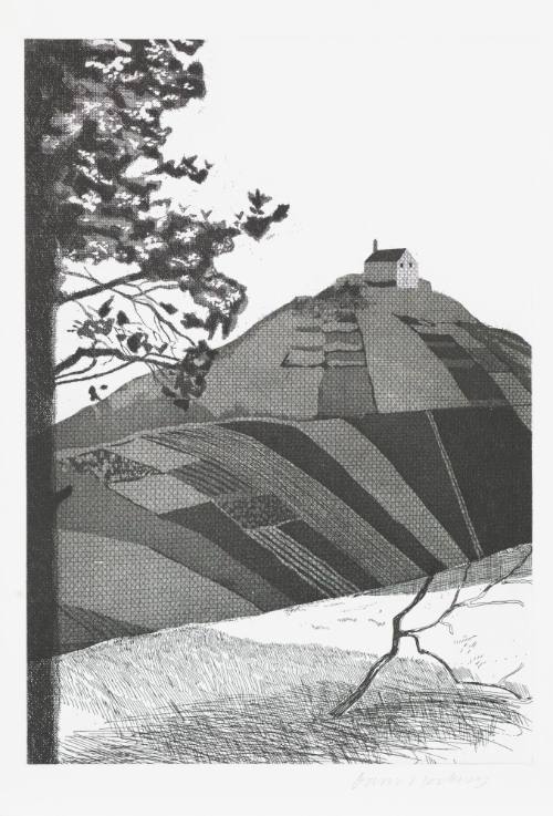 Deluxe Edition A: A Wooded Landscape