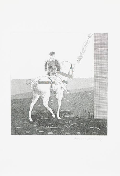 Deluxe Edition A: Rapunzel, Rapunzel, Let Down Your Hair