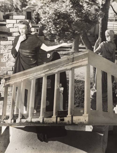 Untitled (Background Cut-Out)