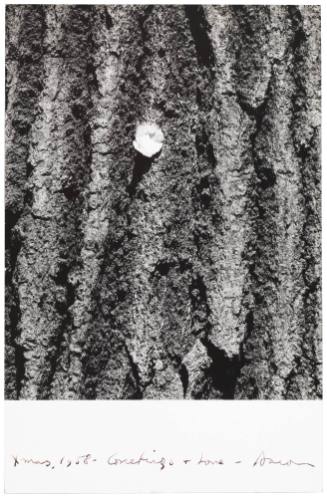 Untitled [Christmas Card]