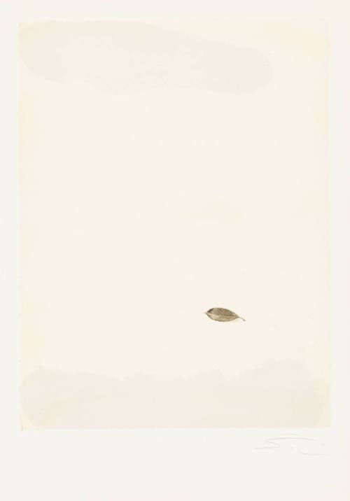 Paper Between a Leaf and Water No. 9