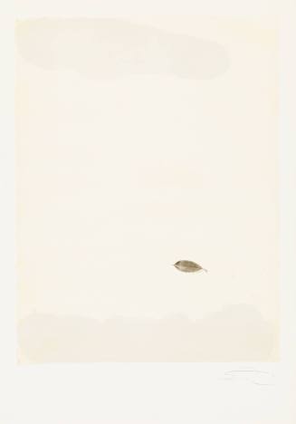Paper Between a Leaf and Water No. 9