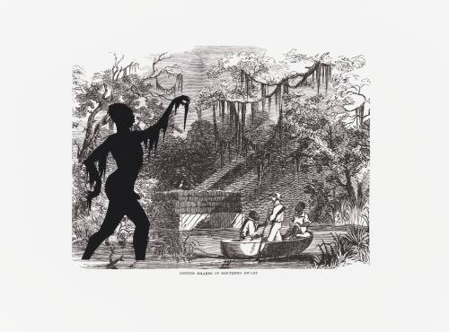 Cotton Hoards in Southern Swamp