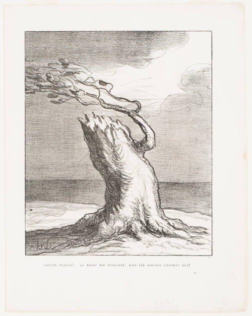 Poor France!...The Trunk Was Struck by Lightning, but the Roots Still Hold! (Pauvre France!...Le Tronc Est Foudroyé, Mais Les Racines Tiennent Bon!)