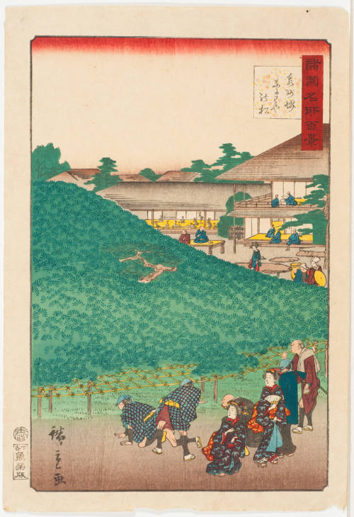 Pine Tree at Naniwa Garden, Sakai in Senshu (Izumi) Province