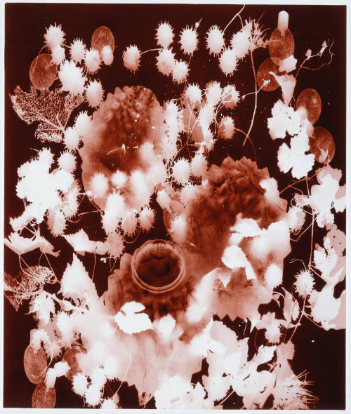 The Year of the Japanese Beetle