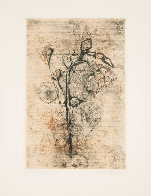Tournesol