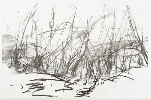 No. 44, Winter Woods