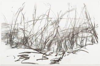 No. 44, Winter Woods