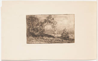 Girl on Riverbank Overlooking Ohio River