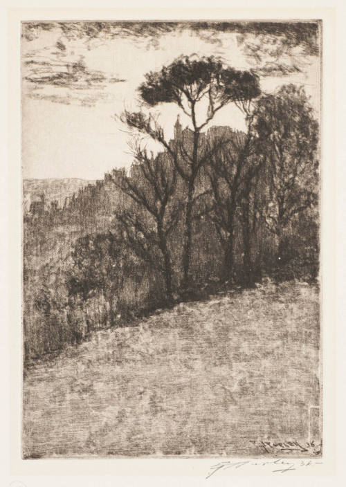 Mt. Adams Through the Trees