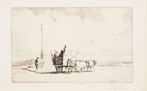 A Spanish Cart