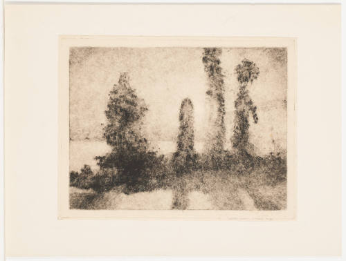 Trees and Shadows