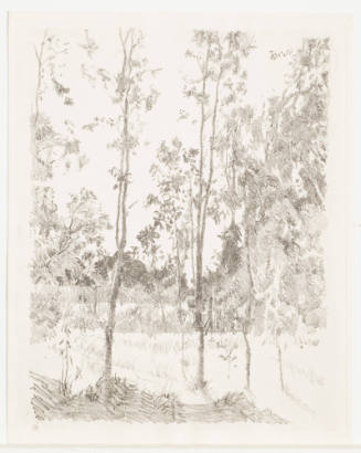 Tree Filled Landscape