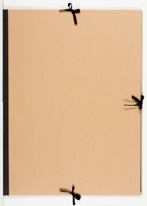 A History of Thugs (Portfolio)