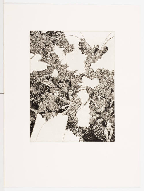 Shooting Up of Clematis