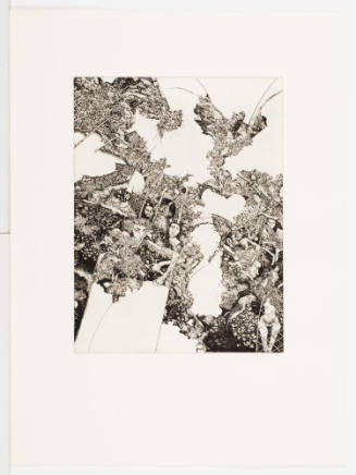 Shooting Up of Clematis