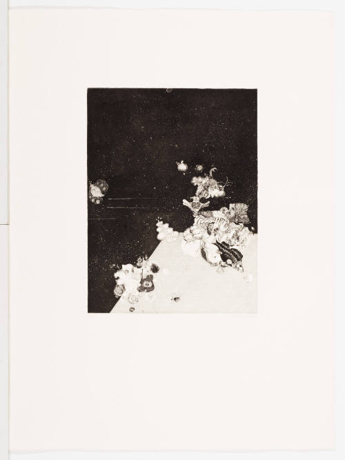 A Tiny Part from the Rich Table of Nature