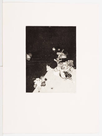 A Tiny Part from the Rich Table of Nature