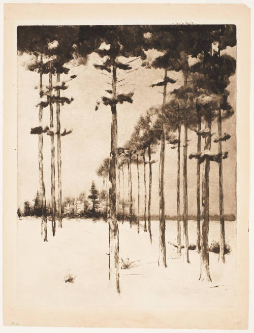Landscape with Trees