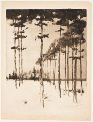 Landscape with Trees