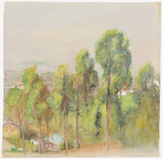 Landscape with Tall Trees