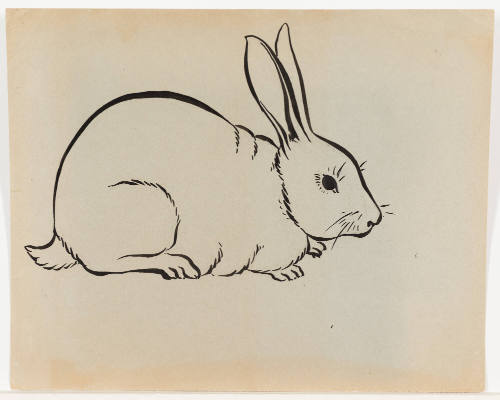 Right Profile of Rabbit