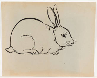 Right Profile of Rabbit