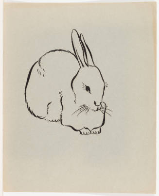 Three Quarter View of Rabbit