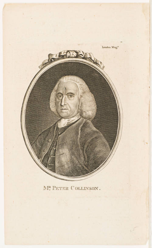 Mr. Peter Collinson.