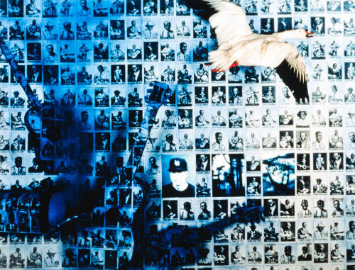 The Blues / El Vuelo Del Ganso