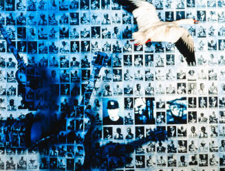 The Blues / El Vuelo Del Ganso