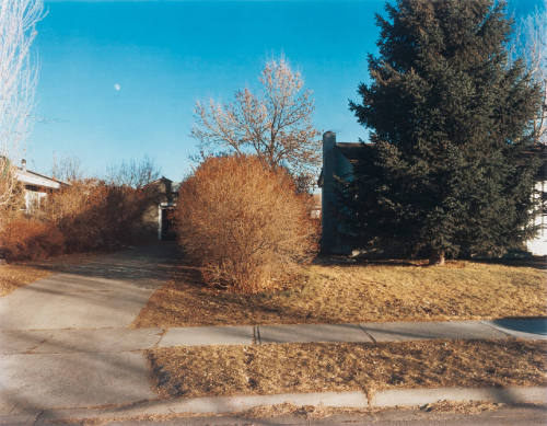 North Black Avenue, Bozeman, Montana, January 16, 1981