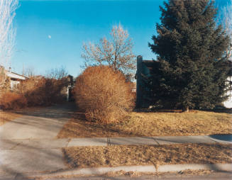 North Black Avenue, Bozeman, Montana, January 16, 1981