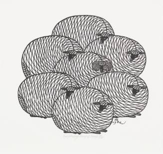 Group of Sheep