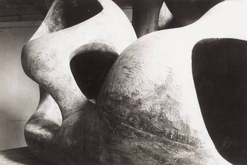 Reclining Figure (Internal and External Forms Detail)