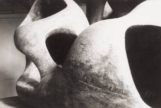 Reclining Figure (Internal and External Forms Detail)