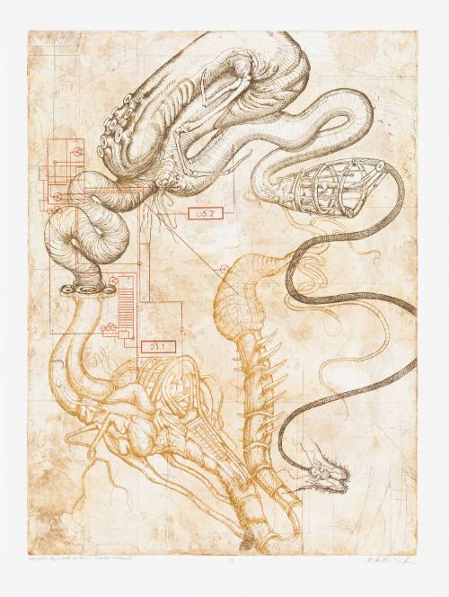 Memeplex: Agricultural Solvency + Corporate Entitlement