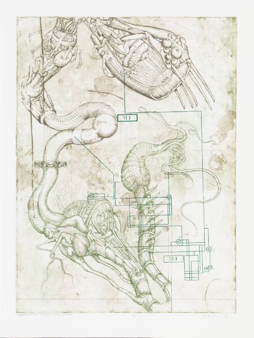 Memeplex: Benevolent Technology + Corporate Entitlement