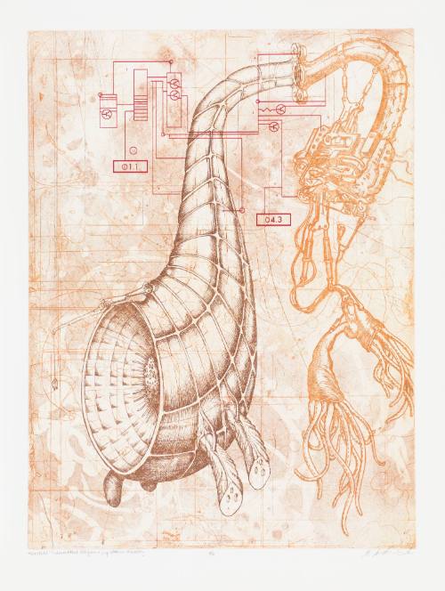 Memeplex: Fundamentalist Religion + Legislative Morality