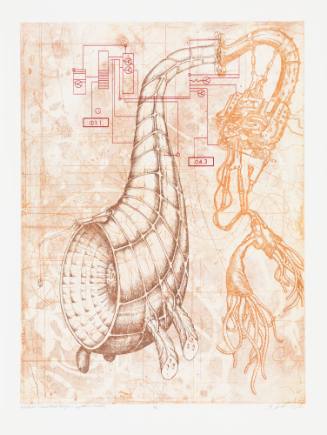 Memeplex: Fundamentalist Religion + Legislative Morality