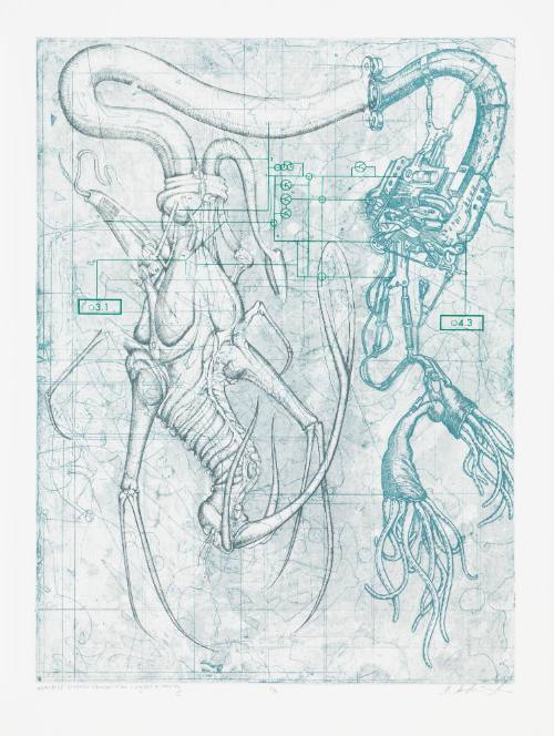 Memeplex: Xenophobic Ethnocentrism + Legislative Morality