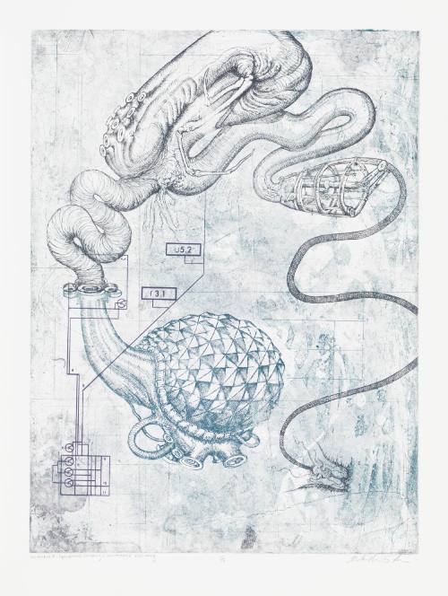 Memeplex: Agricultural Solvency + Environmental Resiliency